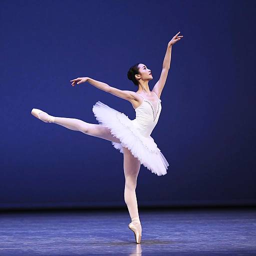 Elegant Ballerina Mid-Pirouette