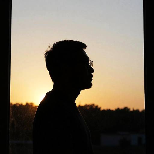 Silhouetted Man at Sunset with Glasses