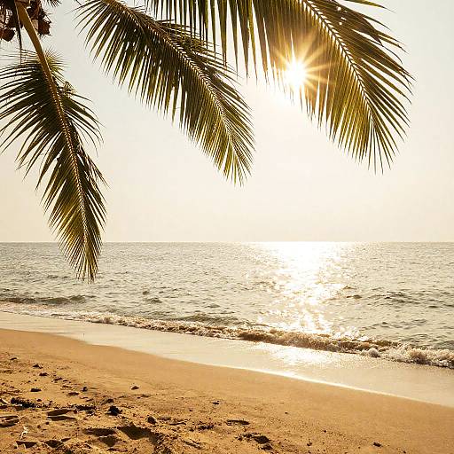 Secluded Tropical Beach Serenity