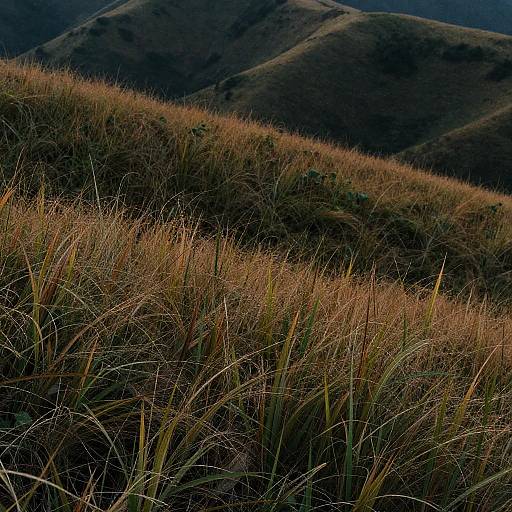 Hyperdetailed Cinematic Gradient Landscape