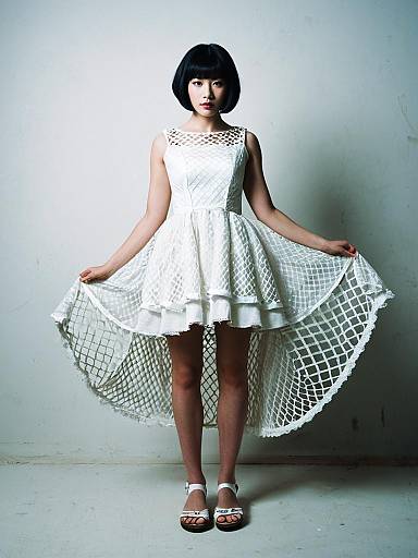 Photorealistic Parody: Woman in Net Gown