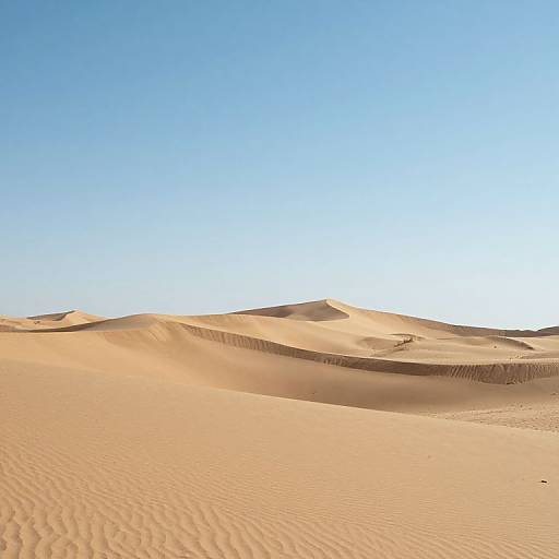 Serene Golden Dunes at Sunset