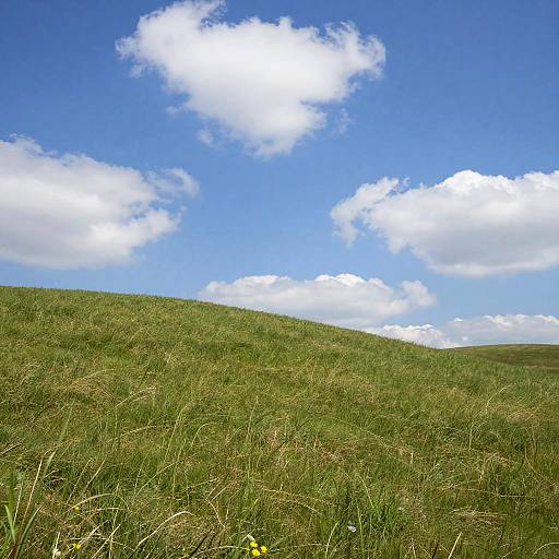 Photorealistic Windows XP Landscape
