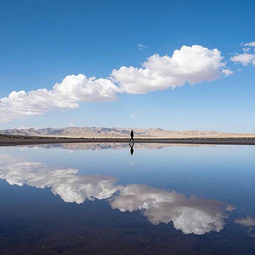 Desert Solitude by Reflective Pool