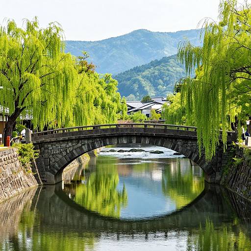 Serene Stone Bridge over Willow-Lined River