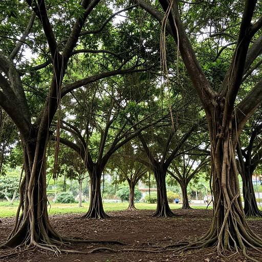 Inverted Trees with Sky Roots