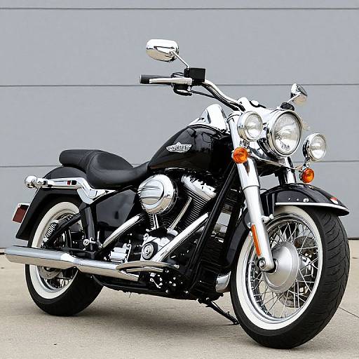 Harley Davidson Road King Mando Lowrider