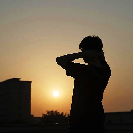 Silhouetted Person at Sunset