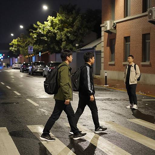 Nocturnal Street Crossing Scene