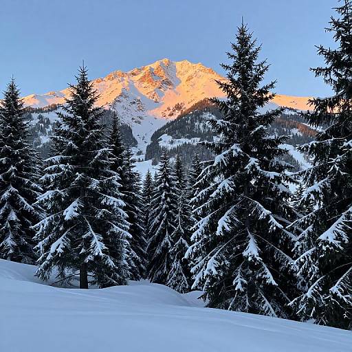 Serene Alpine Glow at Dusk