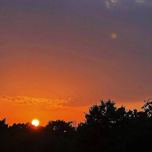 Vibrant Sunset with Silhouetted Trees