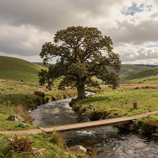 Tranquil Lush Green Hills Landscape