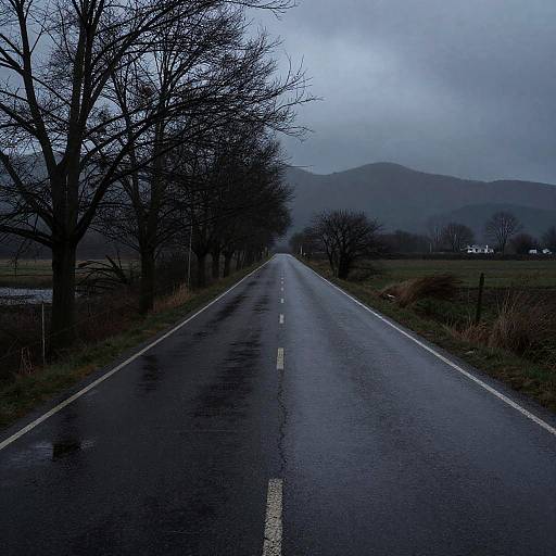 Melancholic Rainy Rural Road Scene