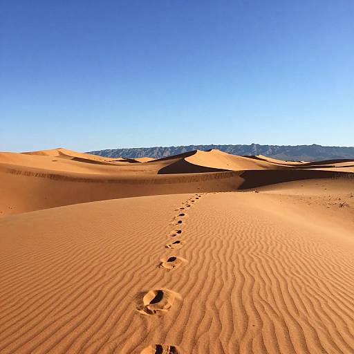 Photograph of a sunlit desert with undulating orange sand dunes, footprints leading through the ripples, and a clear blue sky overhead.