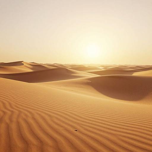 Photograph of a sunlit desert with rippled sand dunes, casting long shadows, and a bright, golden sky at sunset.