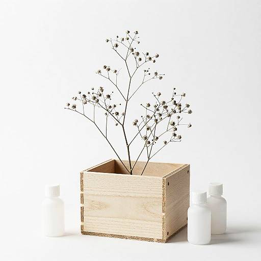 Monochrome Rustic Wooden Box Sketch