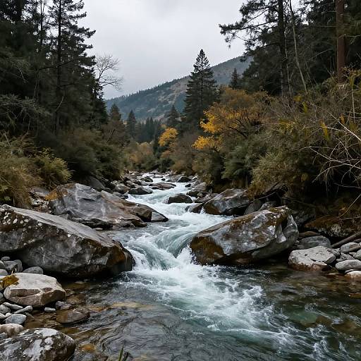Surreal Uphill River of Lost Languages