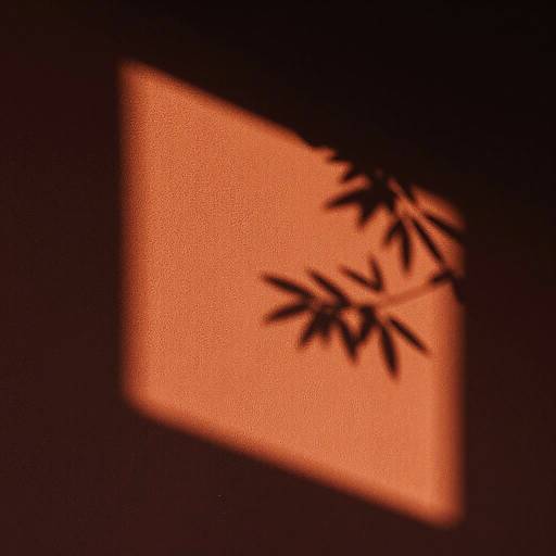 Sunlit Textured Wall with Leaf Shadows