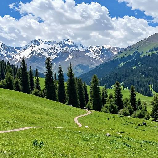 Photograph of a vibrant green meadow with a winding path, tall pine trees, and snow-capped mountains under a bright blue sky with fluffy white