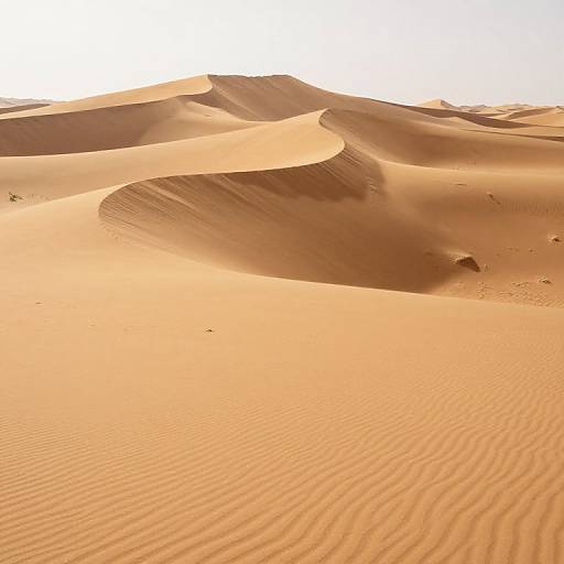 Breathing Desert Dunes Whispering Secrets