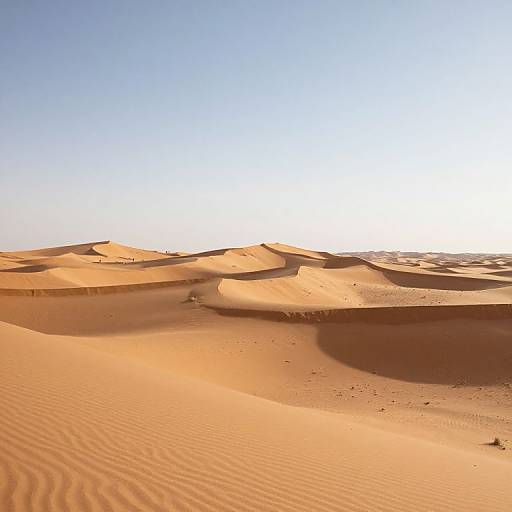 Photograph of a vast, sunlit desert with undulating, golden-orange sand dunes under a clear, bright blue sky. Ripples in the