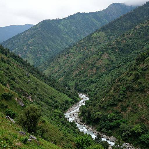 Green Forested Mountains with River Valley