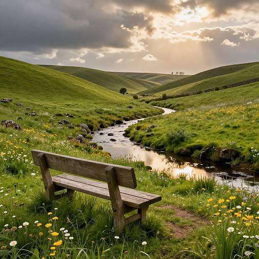 Photograph of a wooden bench in a lush green valley, overlooking a winding stream with yellow and white wildflowers, under a dramatic, sunlit sky
