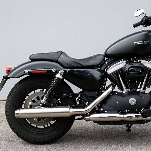 Harley Davidson Iron 883 Custom Exhaust