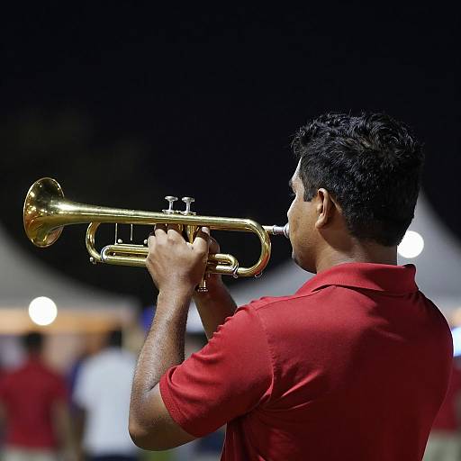 Nighttime Trumpeter with Colorful Bokeh