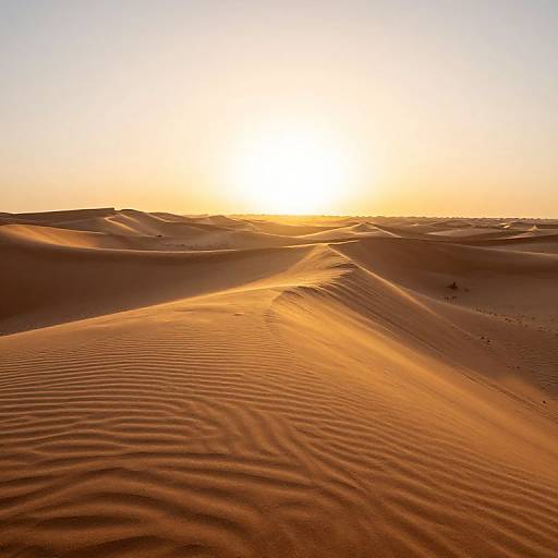 Golden Sunset Over Desert Dunes