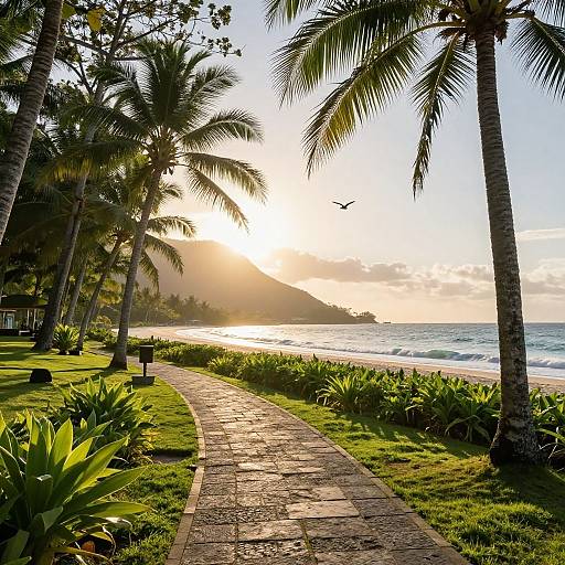 Serene Tropical Beach Pathway