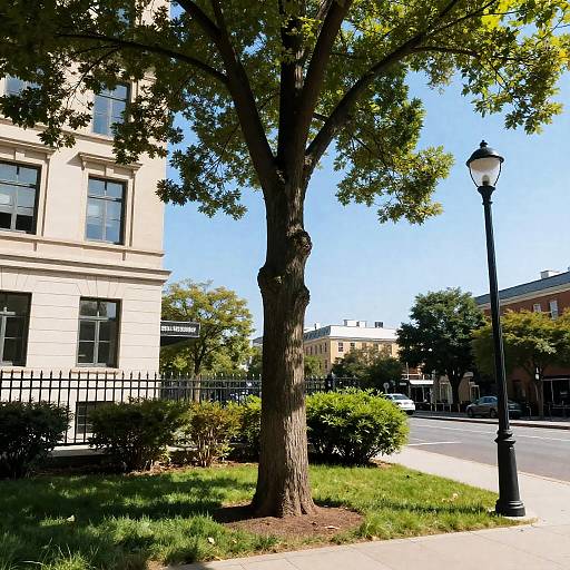 Realistic Outdoor Cityscape with Tree