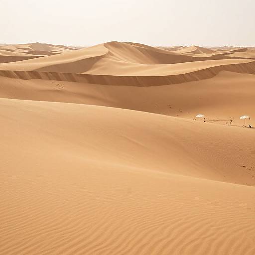 Self-Shifting Desert of Regretful Dunes