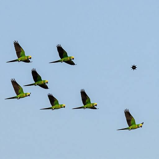 Clockwork Parrots Soar Through Time