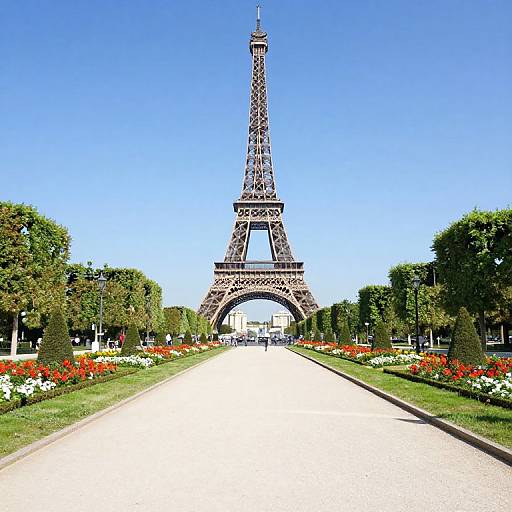 Symmetrical Pathway to Eiffel Tower