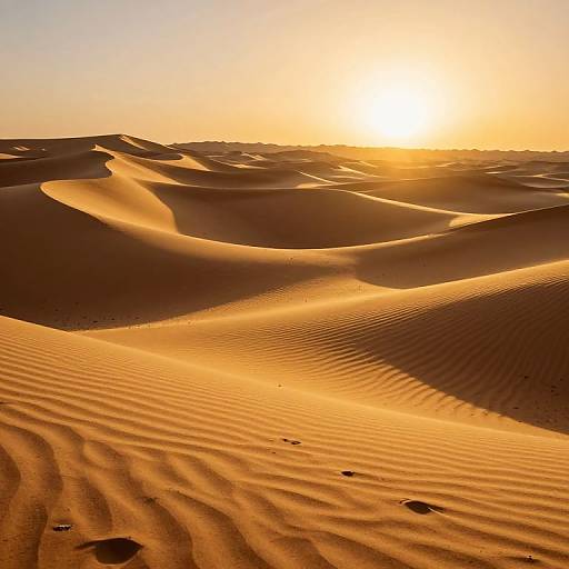 Photograph of a sunlit desert with golden sand dunes, rippled textures, and a bright, glowing sunset in the background.