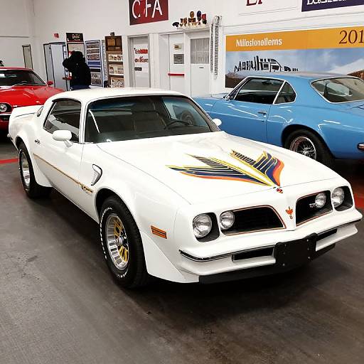 1978 Pontiac Firebird Trans Am Showcase