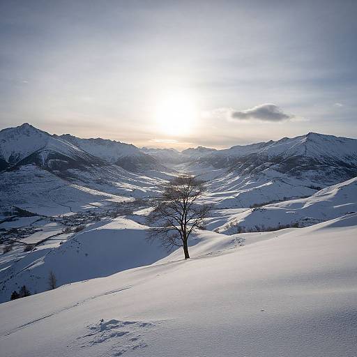 Photograph of a solitary leafless tree standing in a snow-covered mountain valley at sunrise, with bright sunlight and blue-gray sky.