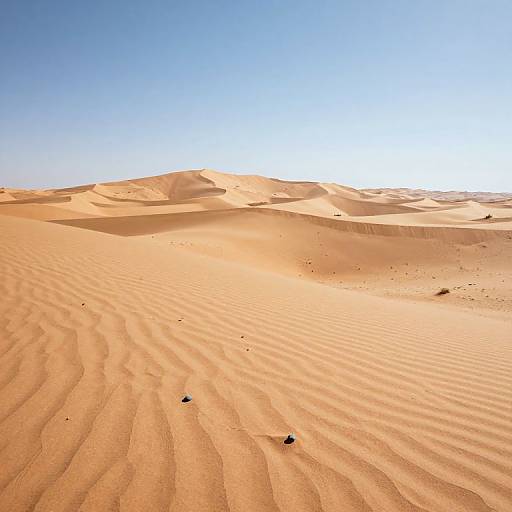 Desert of Frozen Screams