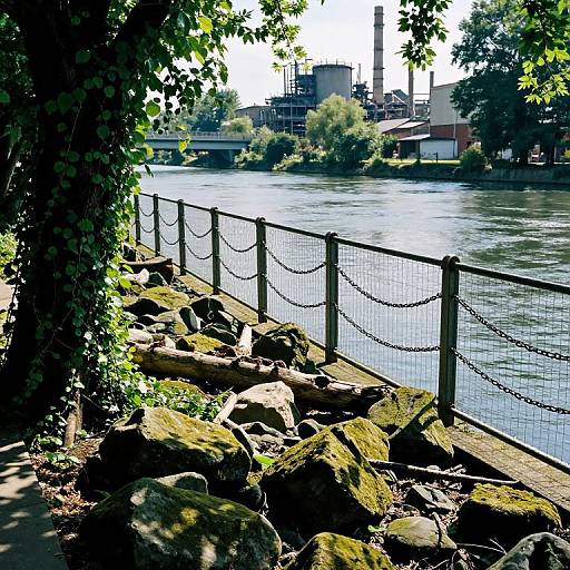 Photograph of a sunny riverside scene with moss-covered rocks, a metal chain fence, and industrial buildings in the background. Dense green foliage frames the
