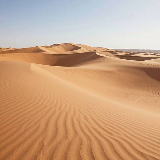 Sonic Desert of Shifting Melodies