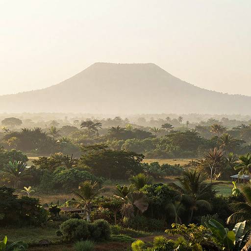 Verdant Tropical Plateau at Dawn