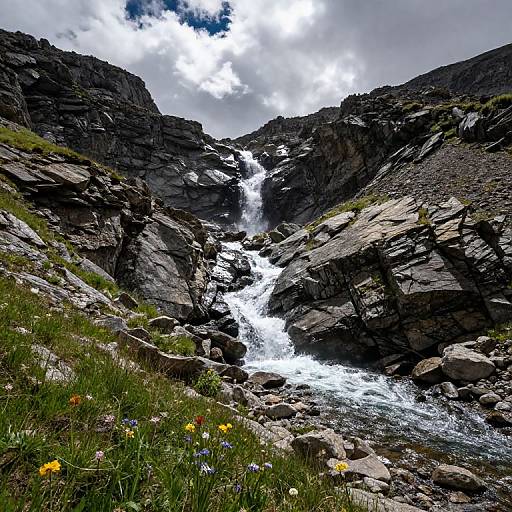 Serene Mountain Brook with Wildflowers