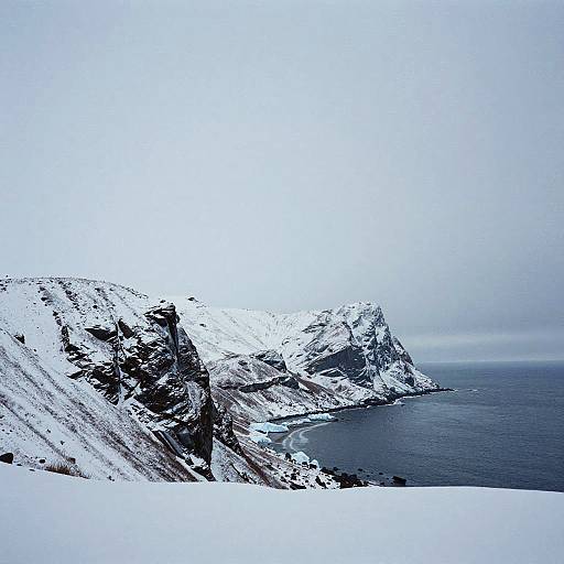 Icy Coastal Cliffs in Blizzard