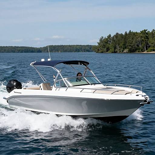 Boston Whaler 305 Conquest Boat