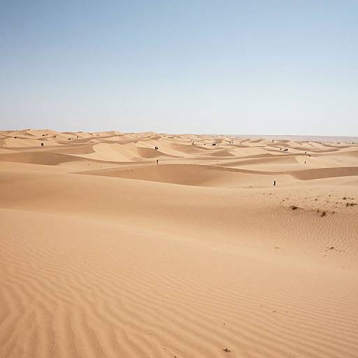 Endless Desert Sand Dunes Landscape