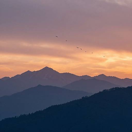 Photograph of a serene mountain landscape at sunset, with layers of dark blue and purple mountains, a vibrant orange and pink sky, and a flock of