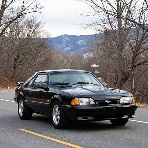 Black 2003 Ford Mustang Mach 1 Cruise