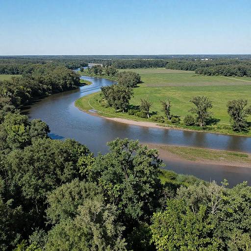 Scenic Aerial View of Lush Greenery
