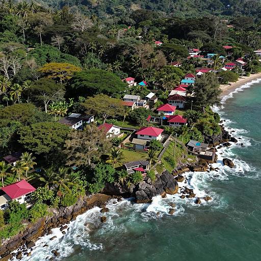 Vibrant Tropical Coastal Village Aerial View